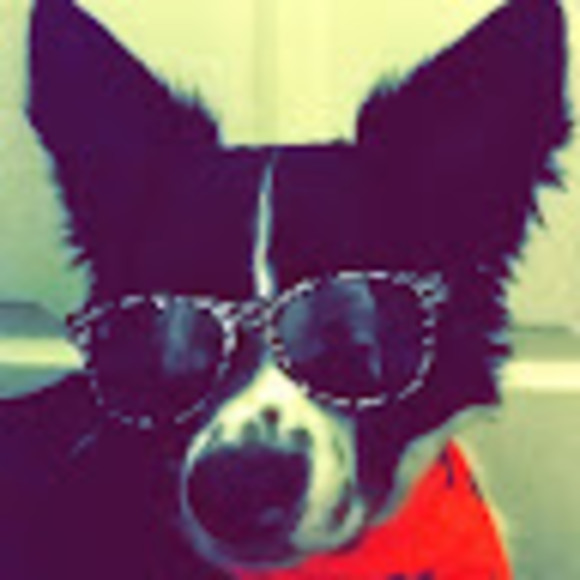 Meet your Posher, Gabrielle - Picture 1 of 1